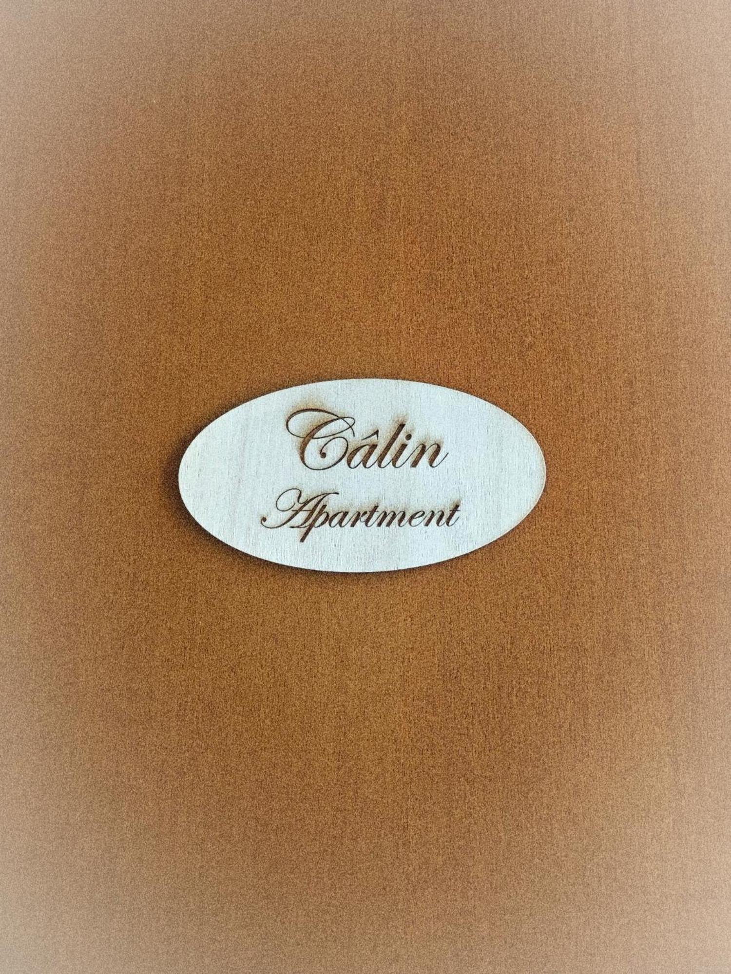 Calin Apartment Turin Extérieur photo