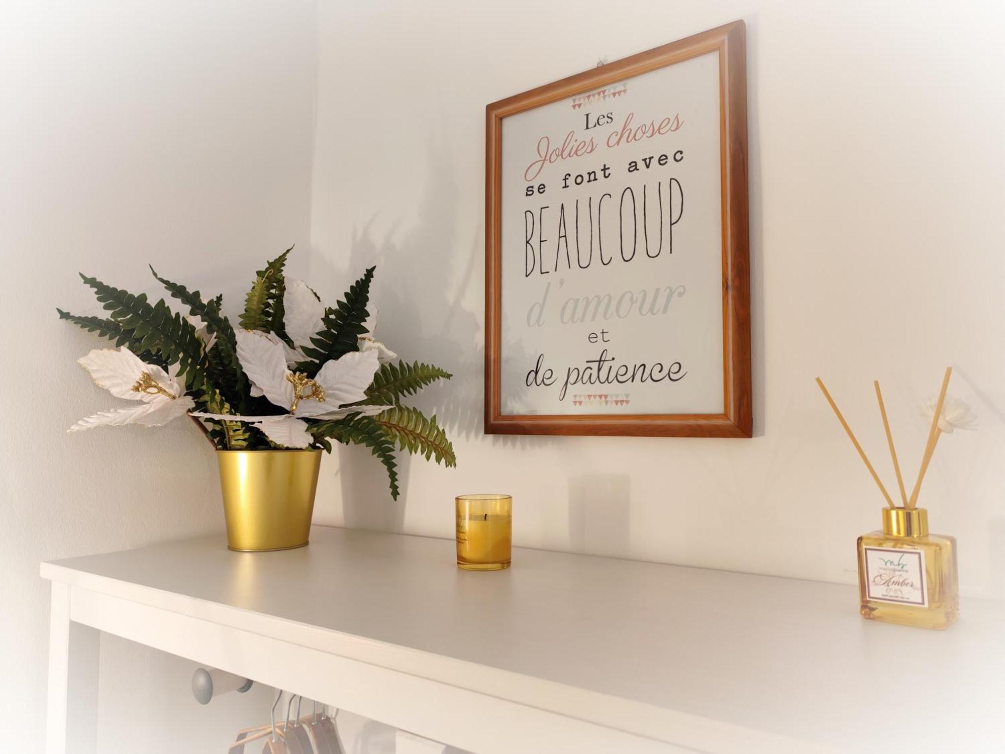 Calin Apartment Turin Extérieur photo